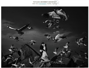 Sydney Pre-Wedding Photography Clover Image