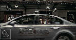 Sydney Pre-Wedding Photography Clover Image