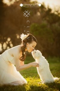 Awarding Sydney Pre-Wedding Photography Clover Image