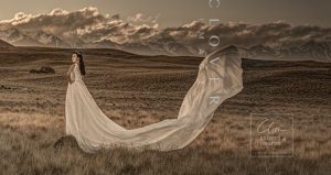 Awarding Sydney Pre-Wedding Photography Clover Image