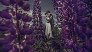 SydneyPre-Wedding Photography Clover Image