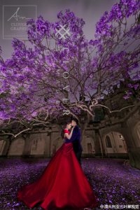 Awarding Sydney Pre-Wedding Photography Clover Image